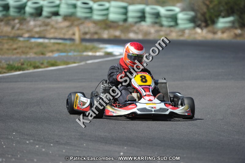 DSC (500).JPG